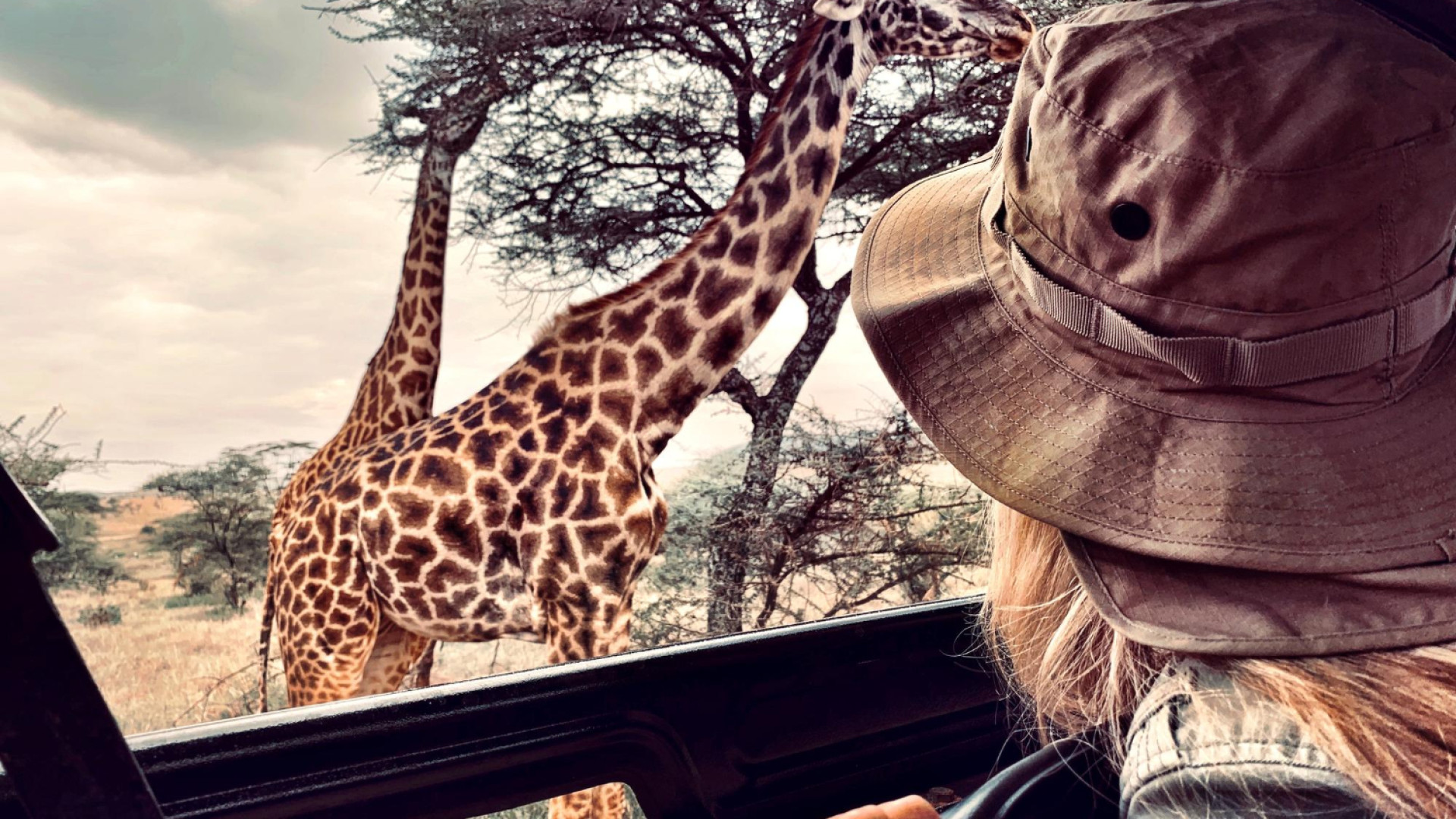 Voyage safari : comment choisir la destination idéale pour une immersion sauvage ?